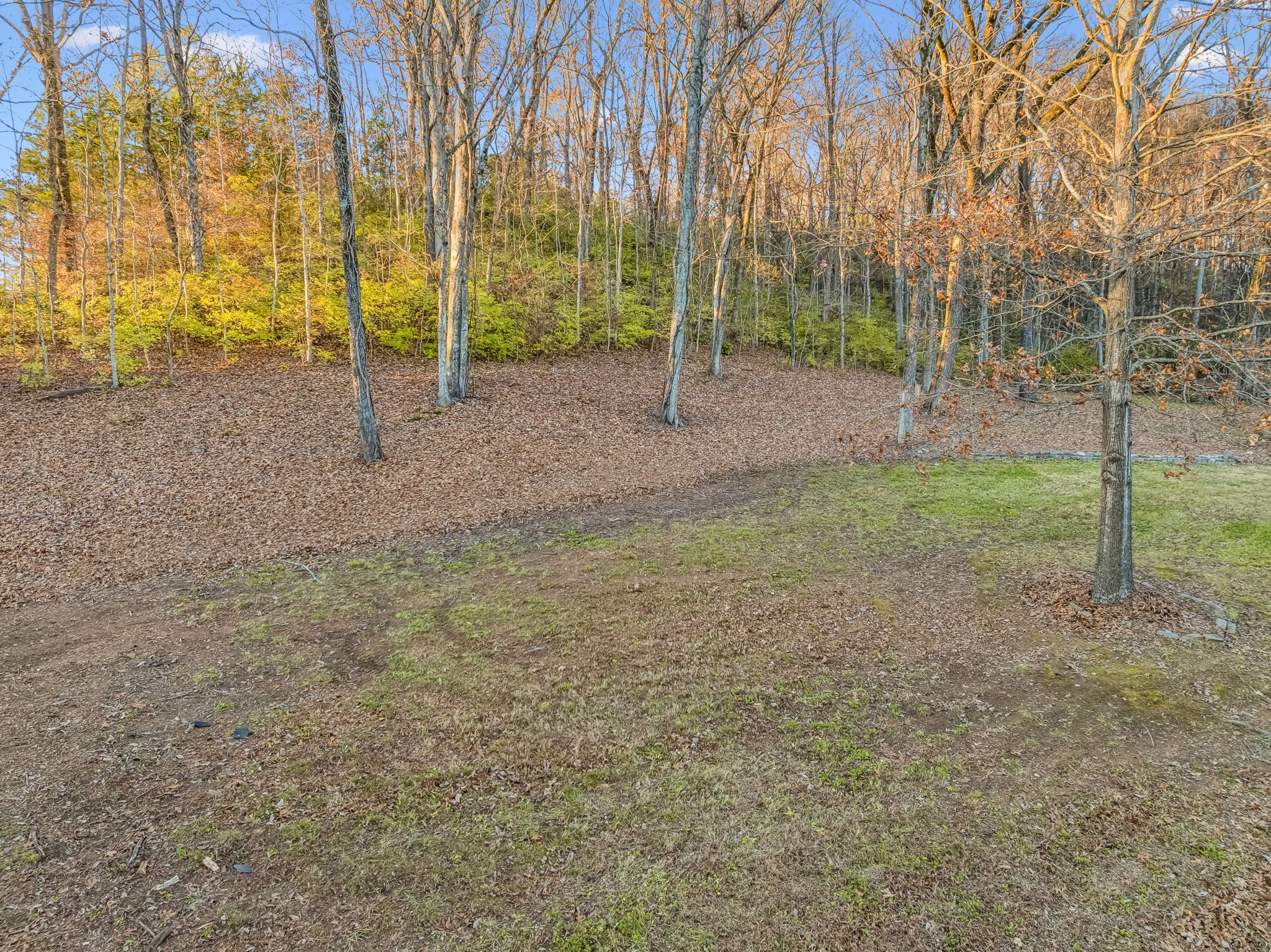 715 High Point Ridge Road Franklin, TN 37069 - Photo 68 of 71