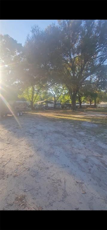 8702 Gardner Road Tampa, FL 33625 - Photo 5 of 8