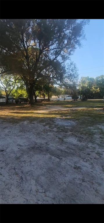 8702 Gardner Road Tampa, FL 33625 - Photo 6 of 8 a view of big yard