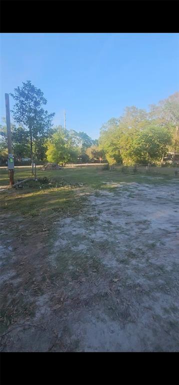 8702 Gardner Road Tampa, FL 33625 - Photo 8 of 8 a view of a yard