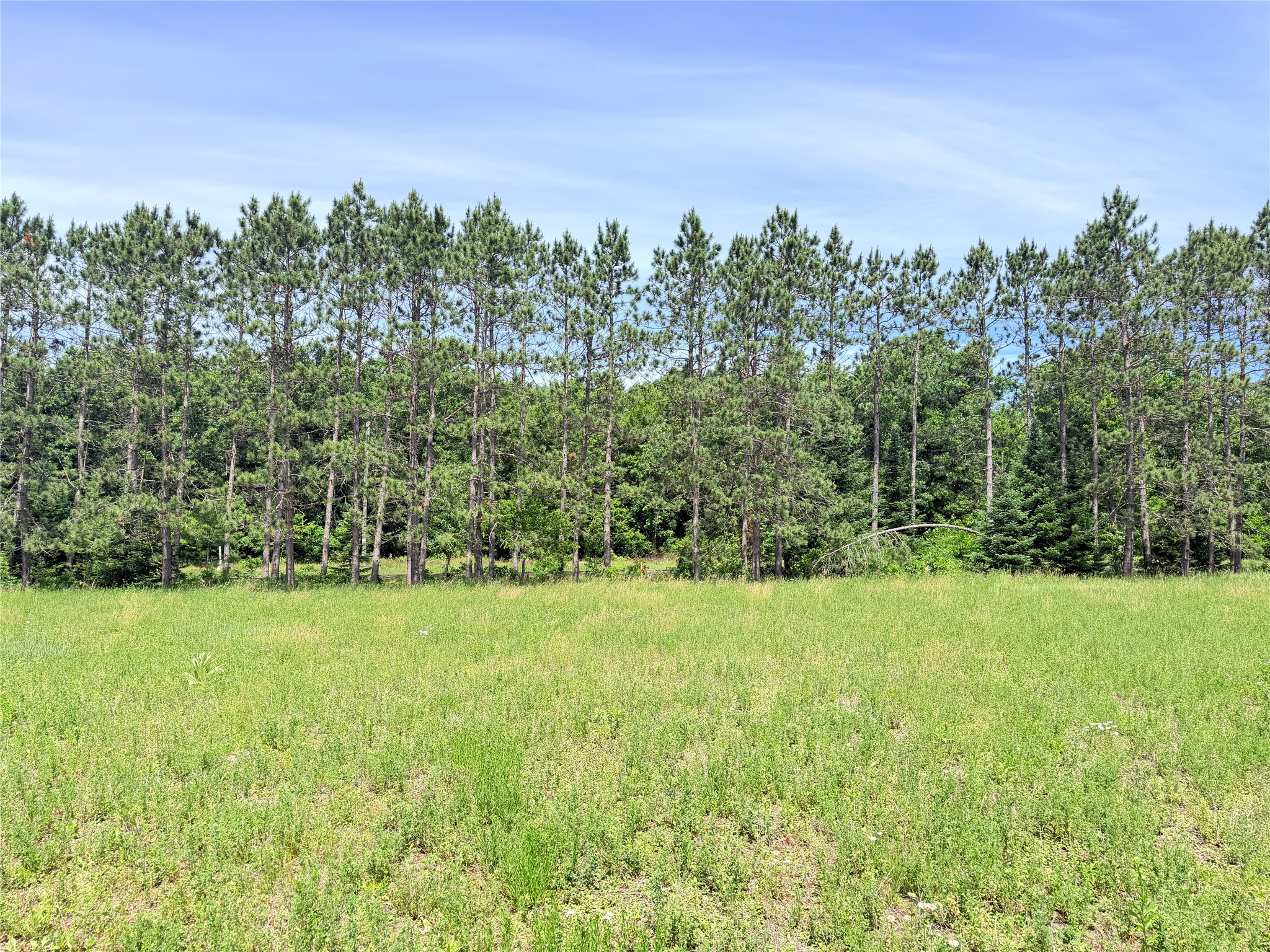 0 Boat Landing Road Ladysmith, WI 54848 - Photo 9 of 22