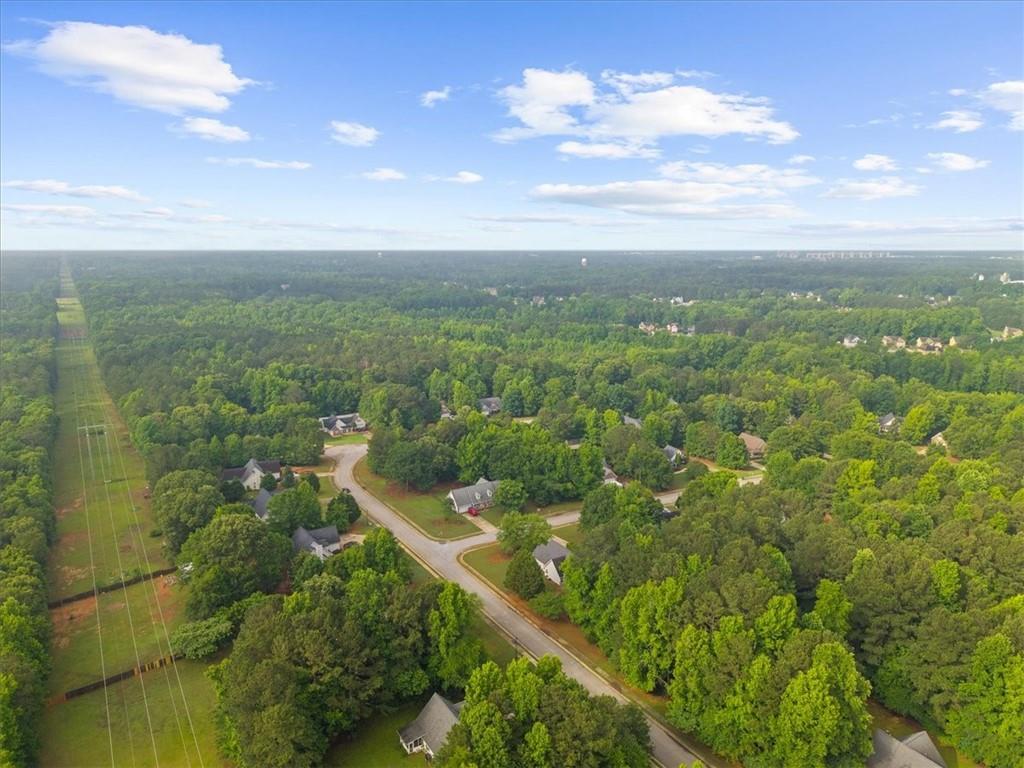 300 Cobb Court Hampton, GA 30228 - Photo 59 of 66