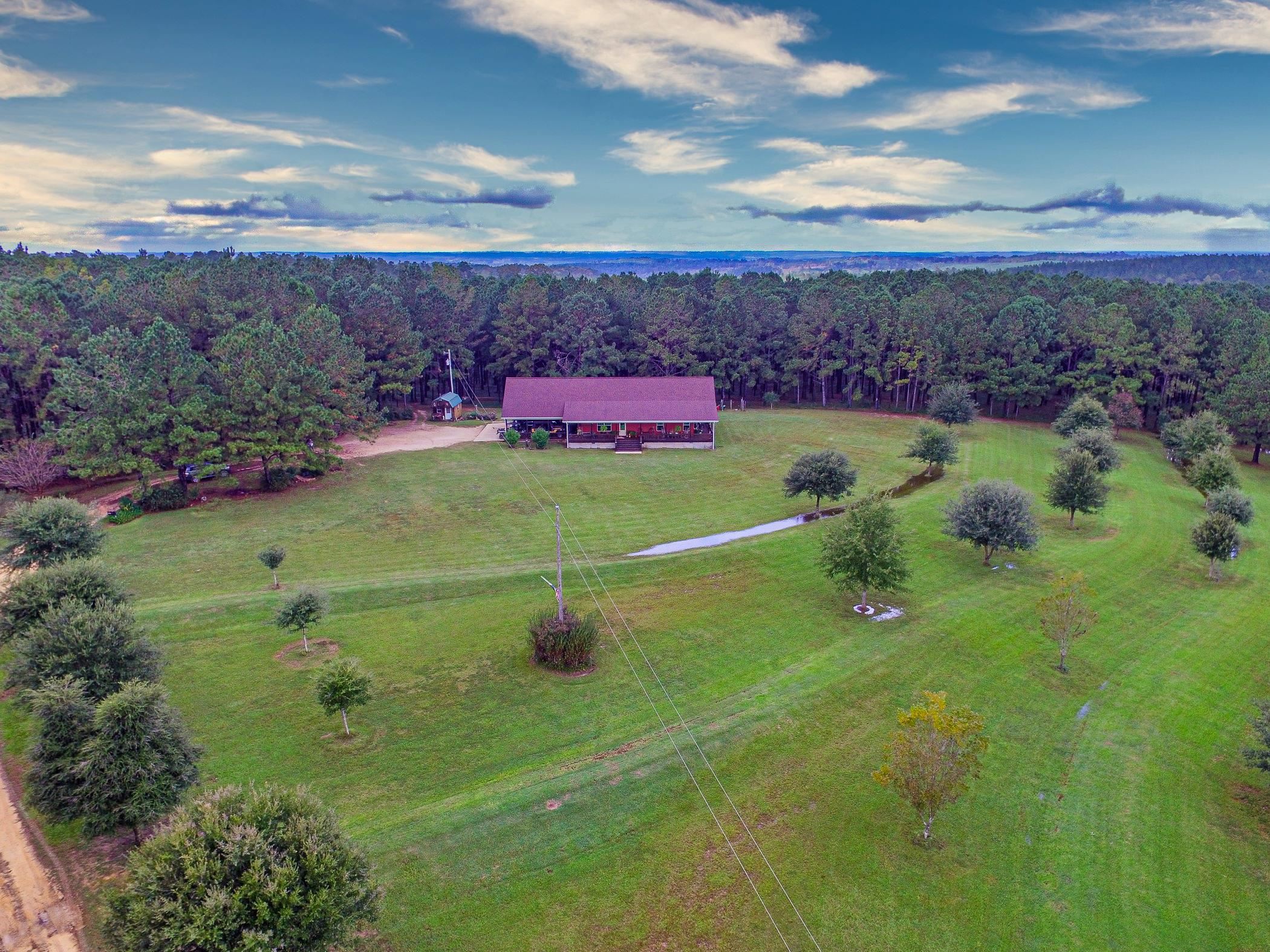 36705 Hall Road Red Level, AL 36474 - Photo 10 of 50 Gallery Image 10