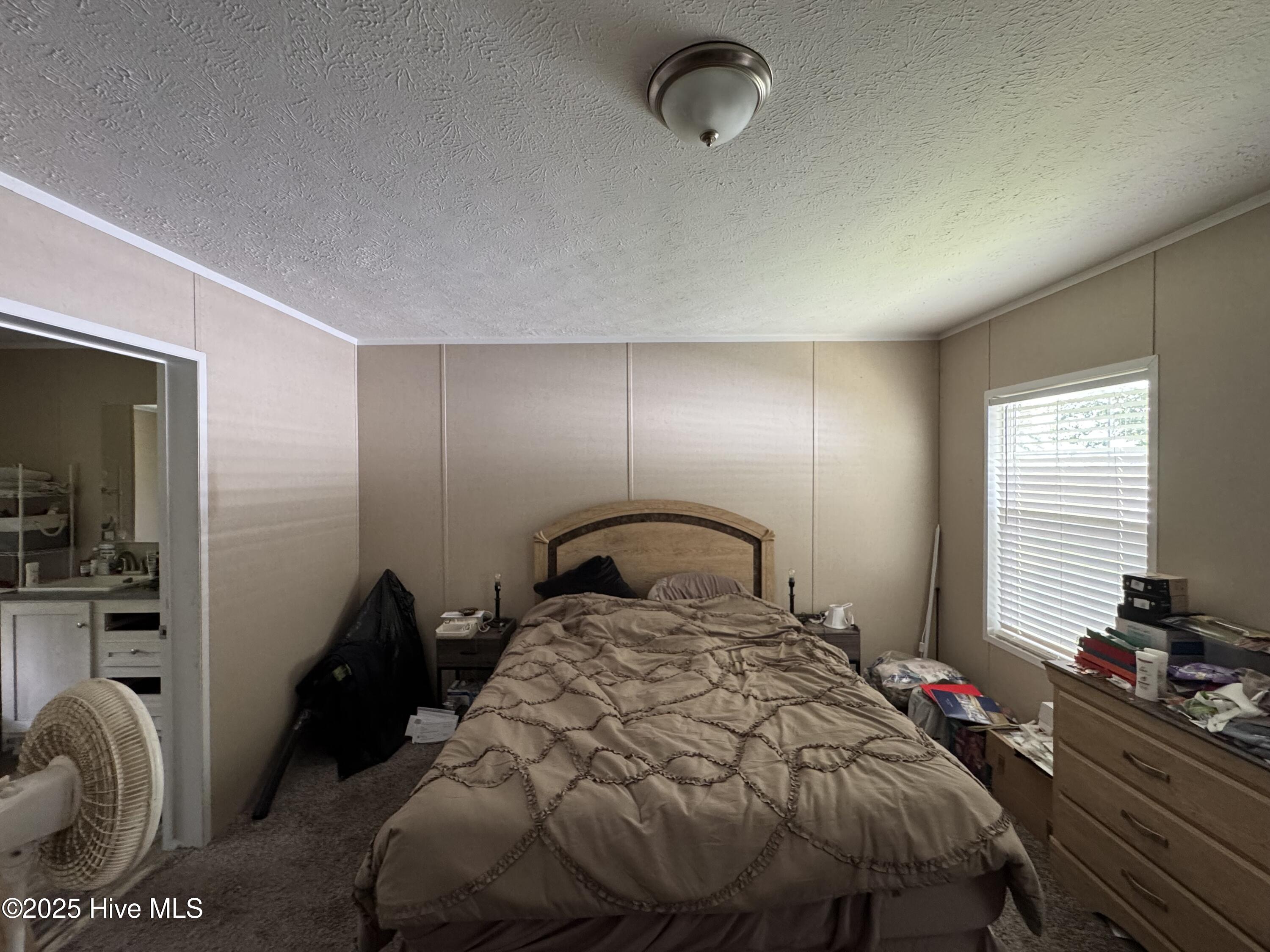 333 Farin Ward Road Stella, NC 28582 - Photo 6 of 23 Master bedroom