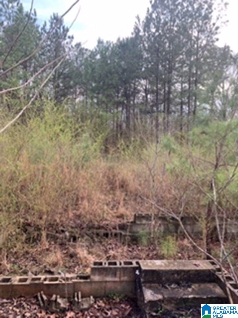 0 Truss Ferry Road, Unit 1 Lincoln, AL 35096 - Photo 9 of 11