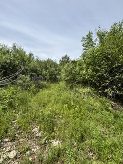 13 B Richardson Road Orrington, ME 04474 - Photo 2 of 10 IMG_0797
