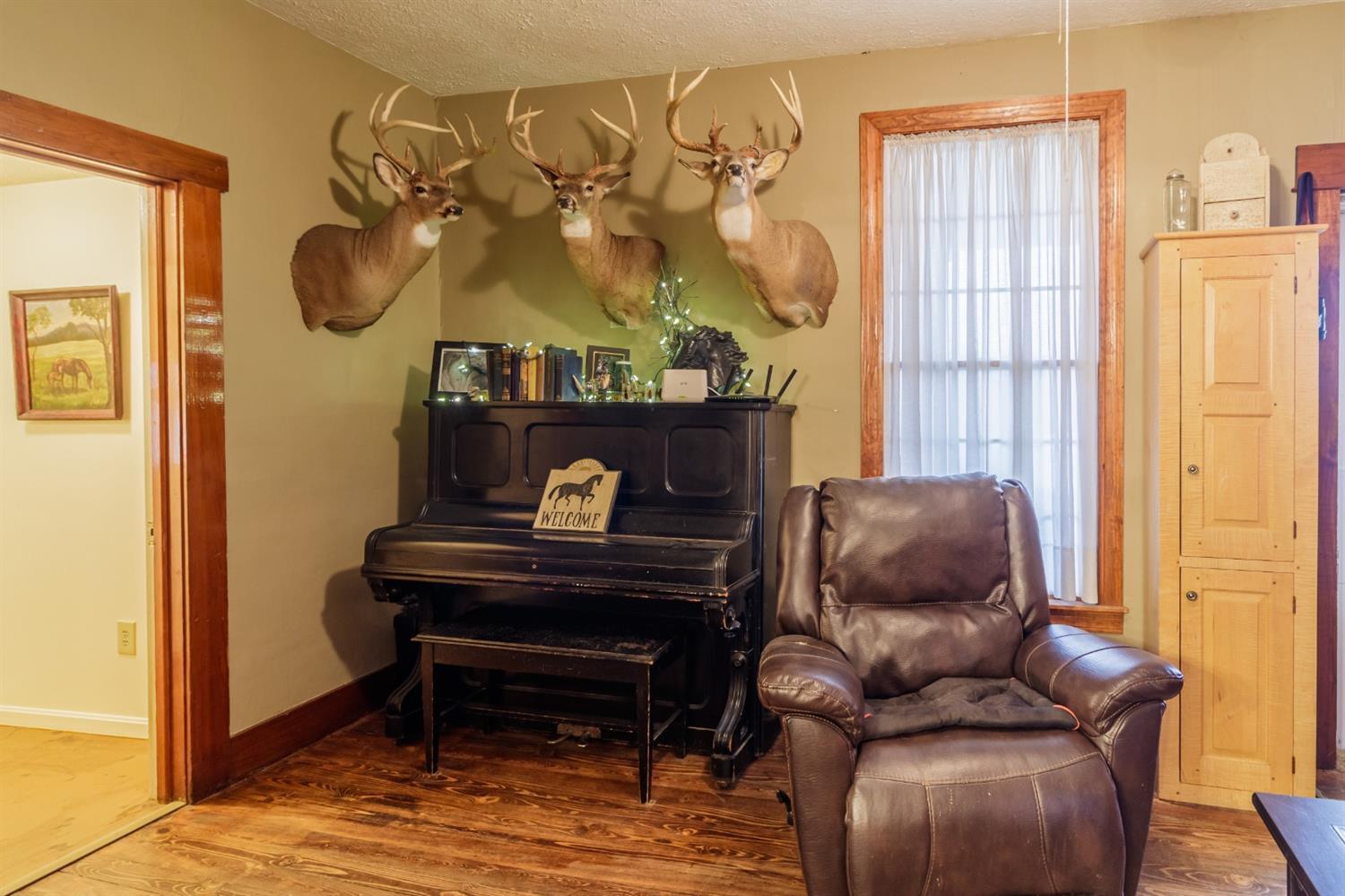 444 Dutch Thomas Road Peebles, OH 45660 - Photo 19 of 50 Gallery Image 19