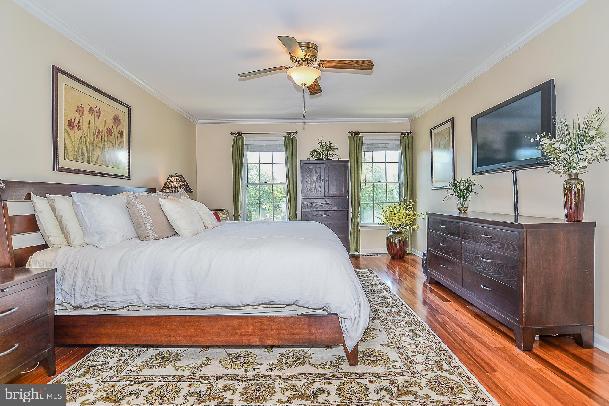 8179 Stone Ridge Drive Frederick, MD 21702 - Photo 22 of 30 Bedroom (Master)