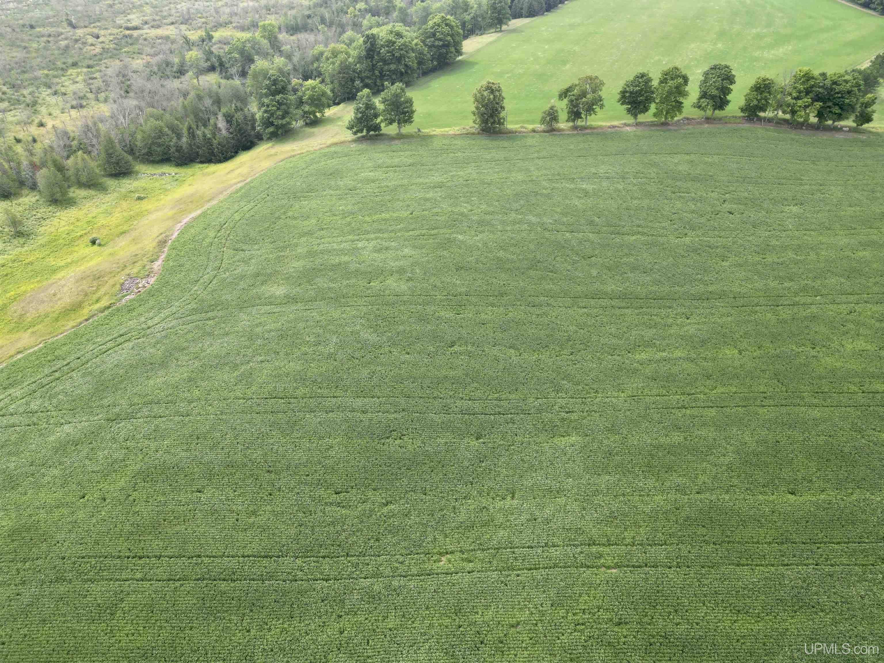 Tbd Tbd Off Guard St Road Carney, MI 49812 - Photo 5 of 13