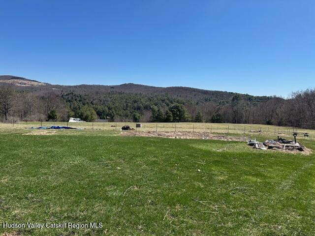 1080 Gaffey Road Stamford, NY 12167 - Photo 7 of 21 image8