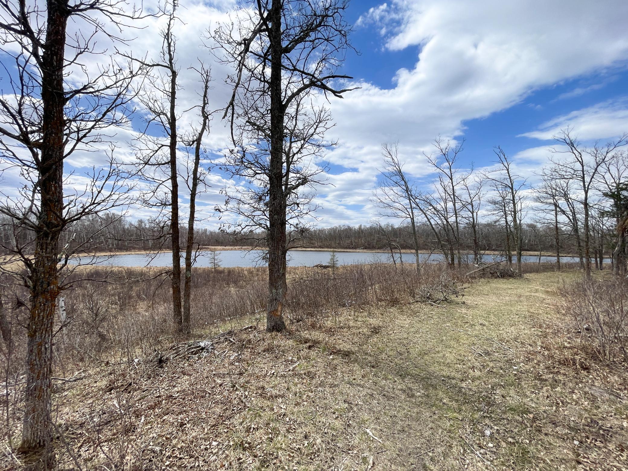 Tbd1 Boot Lake Road Southwest Bemidji, MN 56601 - Photo 21 of 41