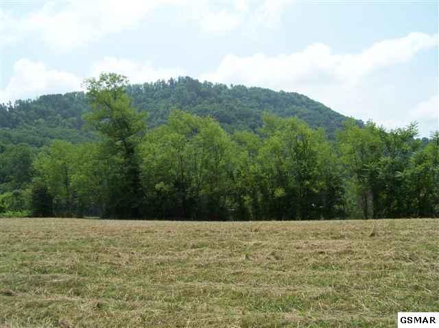 2 Reagan Springs Road Seymour, TN 37865 - Photo 1 of 28 1
