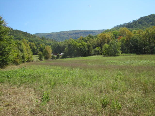 2 Reagan Springs Road Seymour, TN 37865 - Photo 11 of 28 IMG_3656