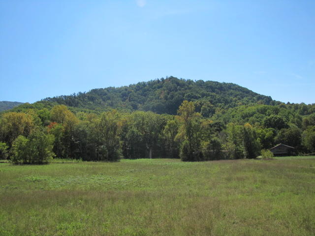2 Reagan Springs Road Seymour, TN 37865 - Photo 12 of 28 IMG_3657