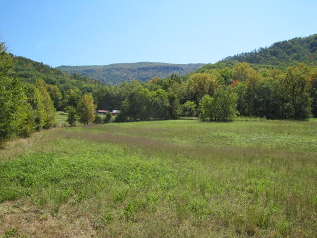 2 Reagan Springs Road Seymour, TN 37865 - Photo 13 of 28 IMG_3658