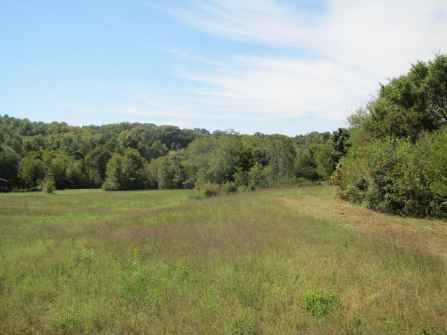 2 Reagan Springs Road Seymour, TN 37865 - Photo 14 of 28 IMG_3659