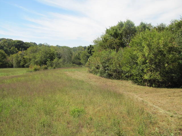 2 Reagan Springs Road Seymour, TN 37865 - Photo 15 of 28 IMG_3660