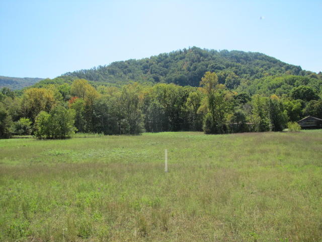 2 Reagan Springs Road Seymour, TN 37865 - Photo 16 of 28 IMG_3661
