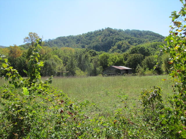 2 Reagan Springs Road Seymour, TN 37865 - Photo 17 of 28 IMG_3662