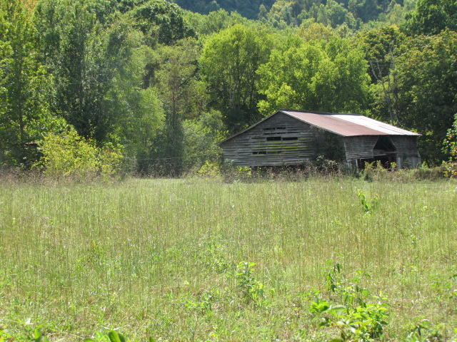 2 Reagan Springs Road Seymour, TN 37865 - Photo 18 of 28 IMG_3663