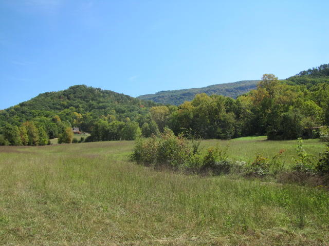 2 Reagan Springs Road Seymour, TN 37865 - Photo 19 of 28 IMG_3664