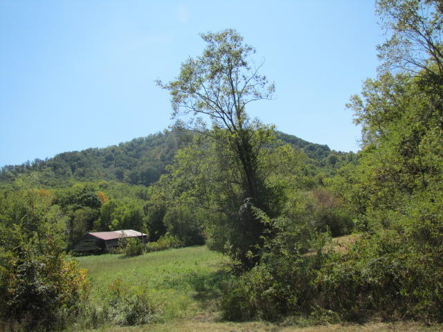 2 Reagan Springs Road Seymour, TN 37865 - Photo 20 of 28 IMG_3665