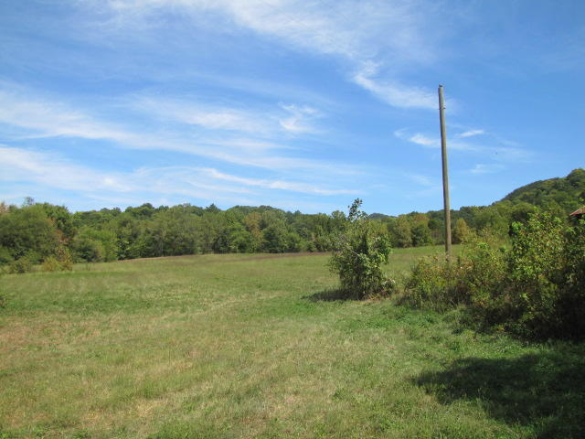2 Reagan Springs Road Seymour, TN 37865 - Photo 21 of 28 IMG_3666