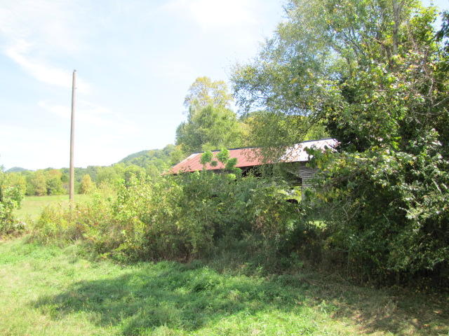 2 Reagan Springs Road Seymour, TN 37865 - Photo 22 of 28 IMG_3667