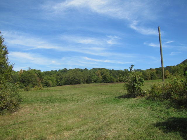 2 Reagan Springs Road Seymour, TN 37865 - Photo 23 of 28 IMG_3668