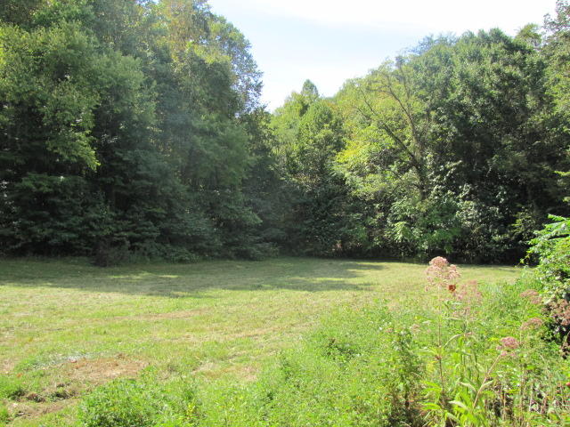 2 Reagan Springs Road Seymour, TN 37865 - Photo 25 of 28 IMG_3673
