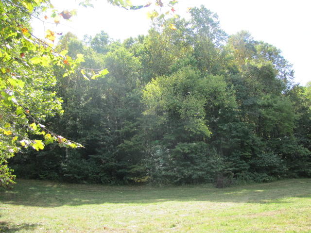 2 Reagan Springs Road Seymour, TN 37865 - Photo 26 of 28 IMG_3674