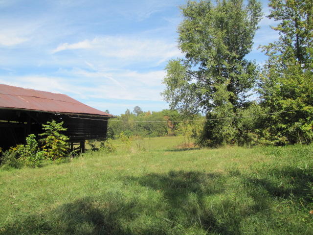 2 Reagan Springs Road Seymour, TN 37865 - Photo 4 of 28 IMG_3649
