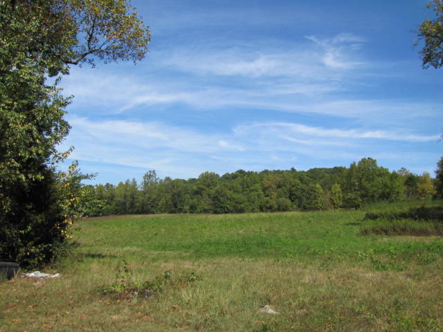 2 Reagan Springs Road Seymour, TN 37865 - Photo 6 of 28 IMG_3651