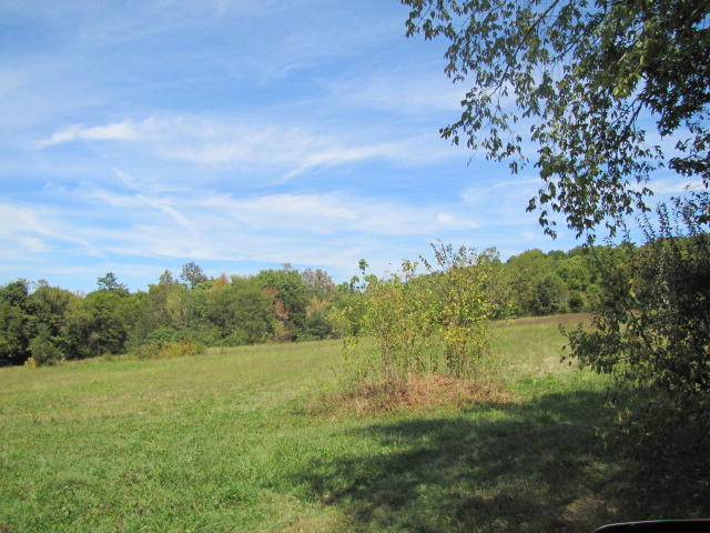 2 Reagan Springs Road Seymour, TN 37865 - Photo 7 of 28 IMG_3652