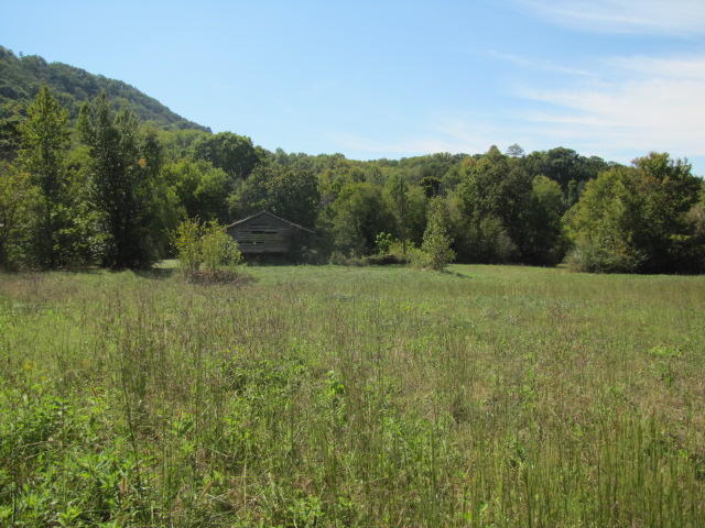 2 Reagan Springs Road Seymour, TN 37865 - Photo 8 of 28 IMG_3653