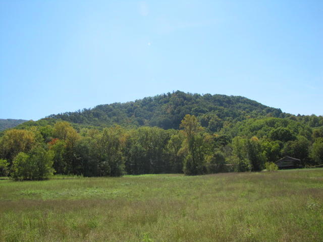 2 Reagan Springs Road Seymour, TN 37865 - Photo 9 of 28 IMG_3654