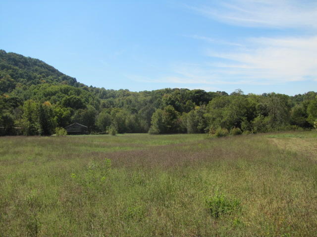 2 Reagan Springs Road Seymour, TN 37865 - Photo 10 of 28 IMG_3655