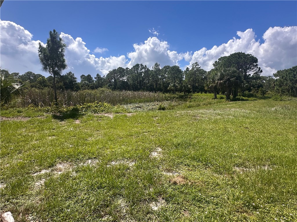 8900 7th Avenue Sebastian, FL 32976 - Photo 7 of 11
