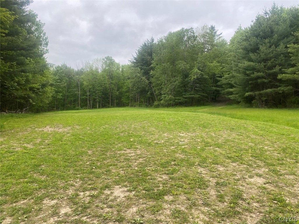 7133 Murry Hill Road Belfast, NY 14711 - Photo 17 of 33