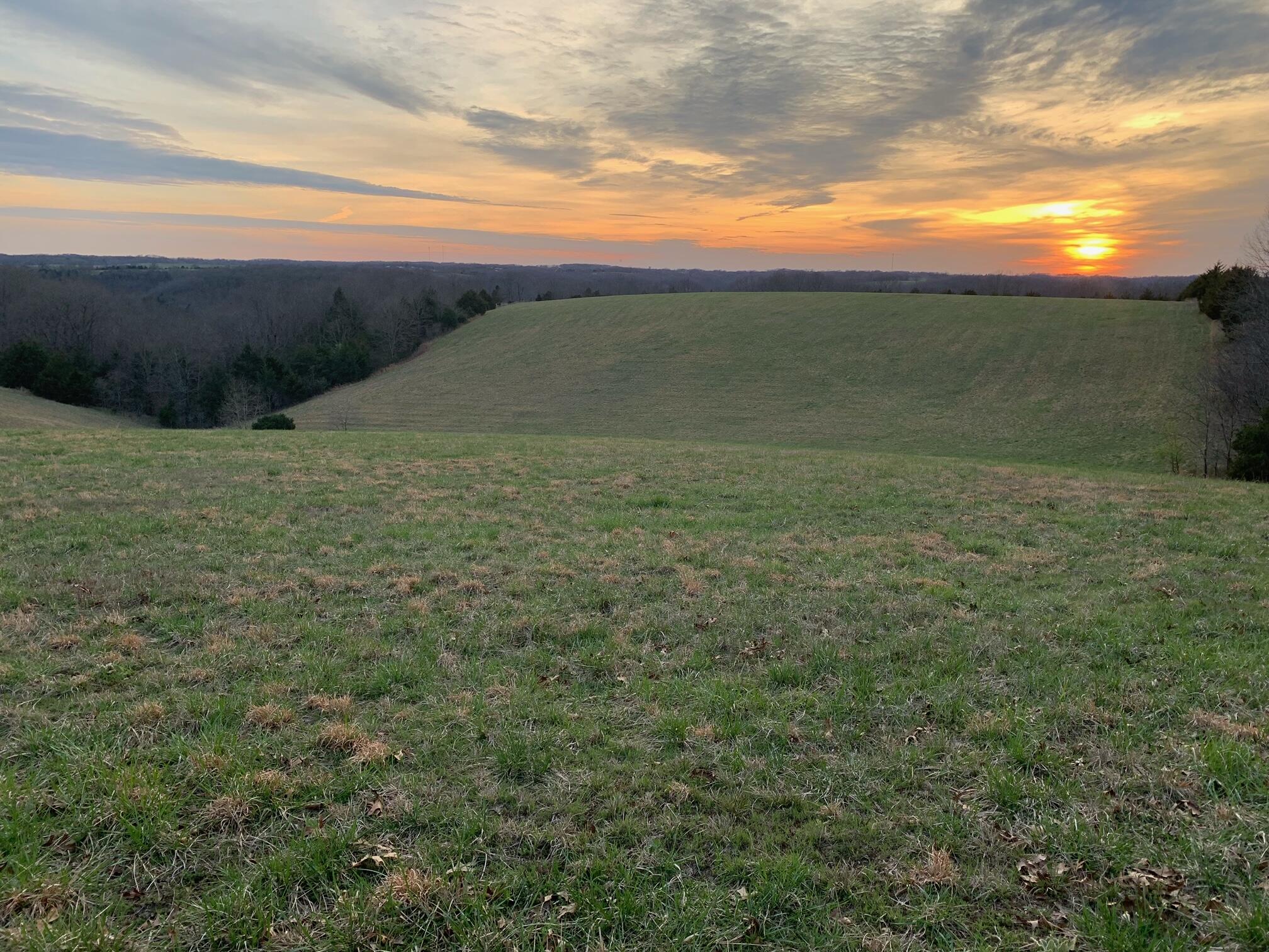 0 Edison Lane Reeds Spring, MO 65737 - Photo 1 of 1 image2 (5)