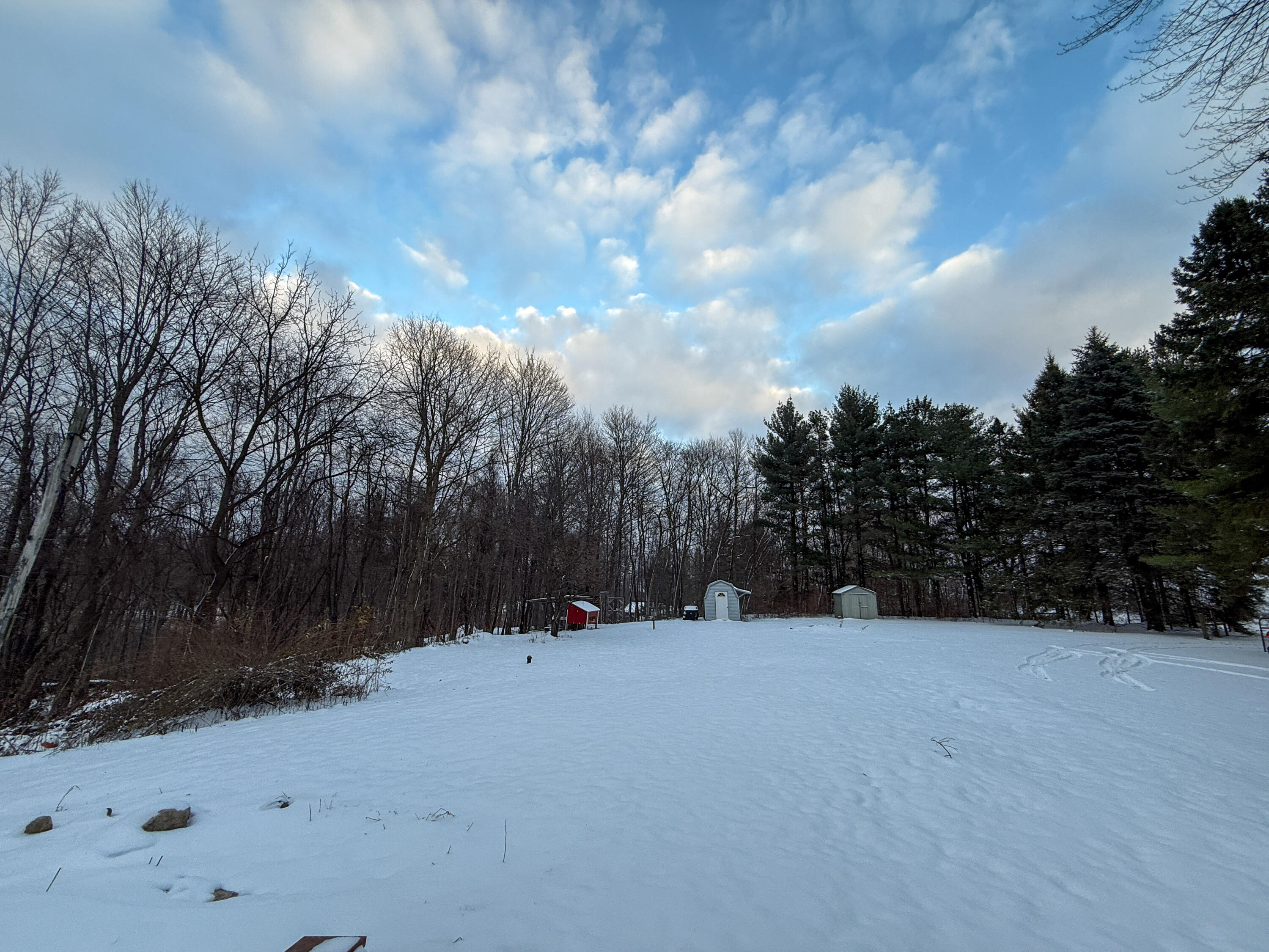 9155 Cushing Road Dowagiac, MI 49047 - Photo 19 of 28 Front Yard