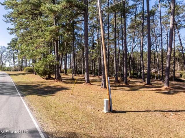 $419,900 | 307 Salem School Road, Collins, MS 39428