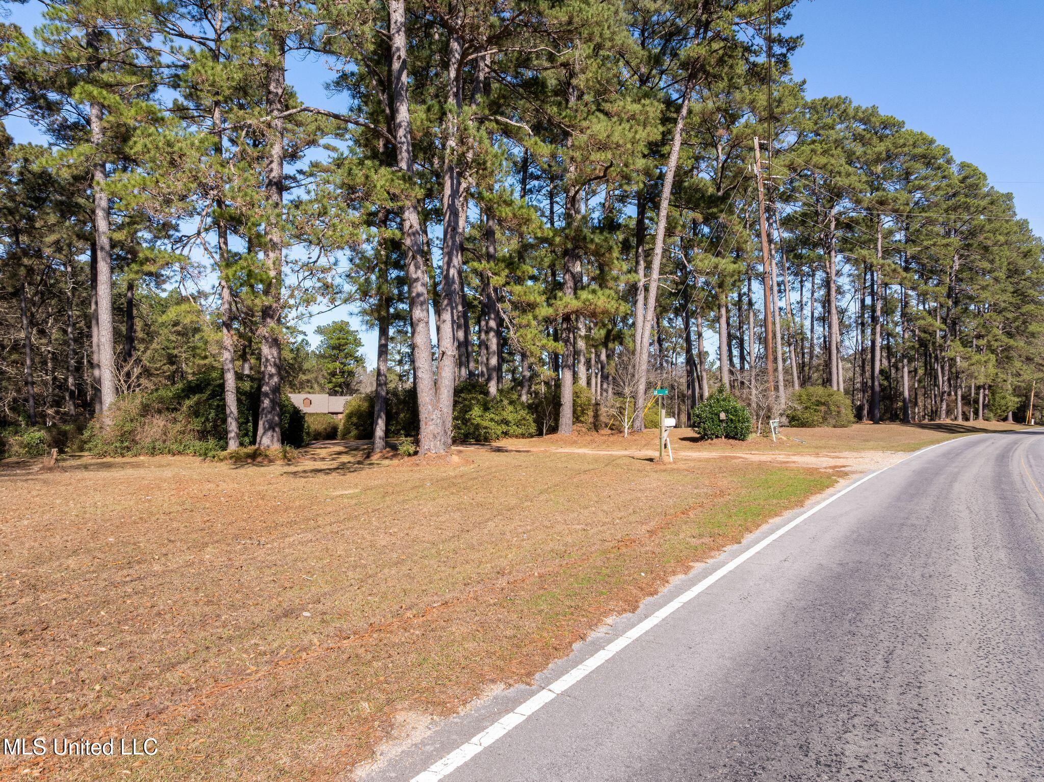 307 Salem School Road Collins, MS 39428 - Photo 54 of 61 307_Salem_School_Rd-55