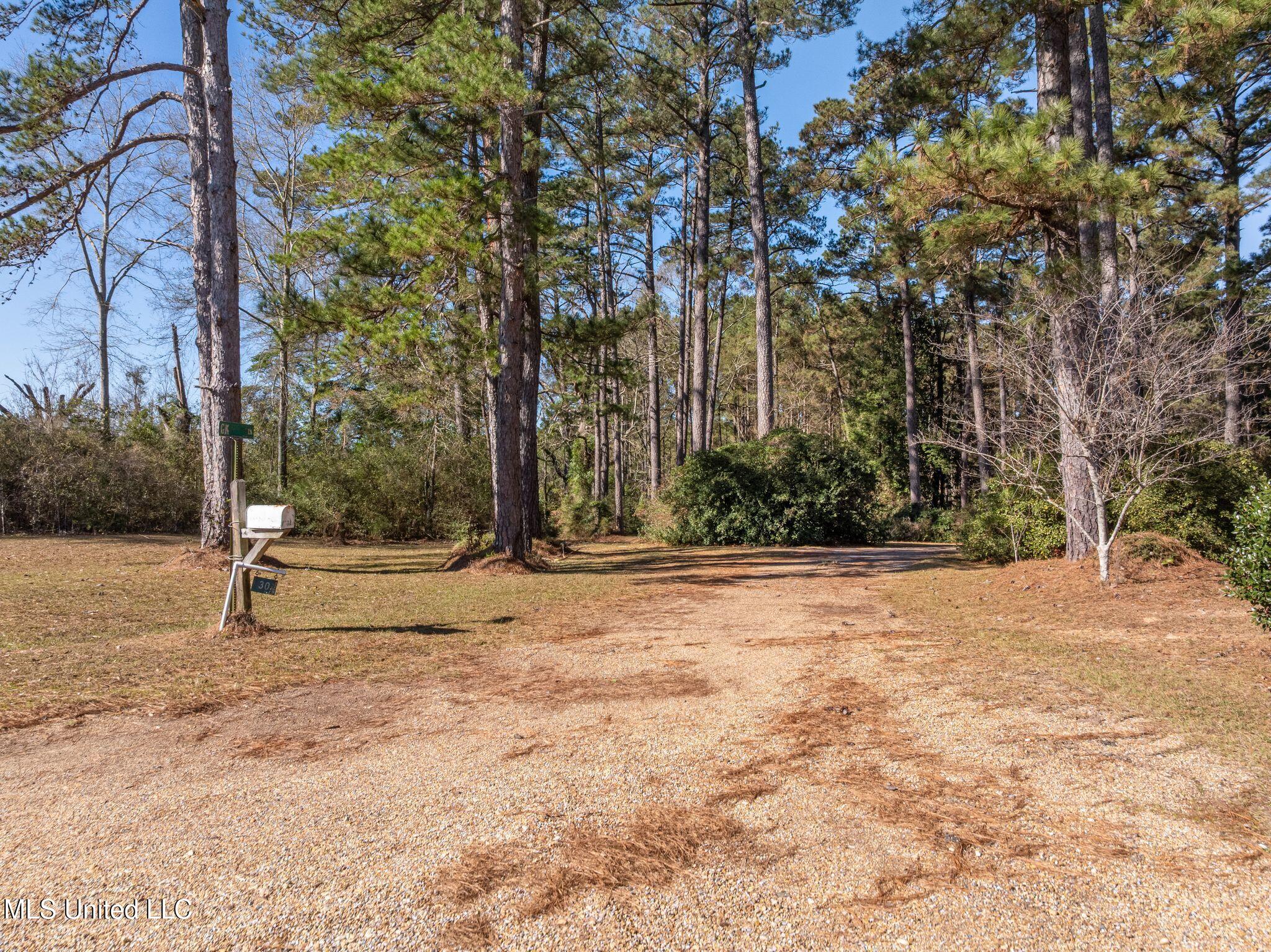 307 Salem School Road Collins, MS 39428 - Photo 55 of 61 307_Salem_School_Rd-56