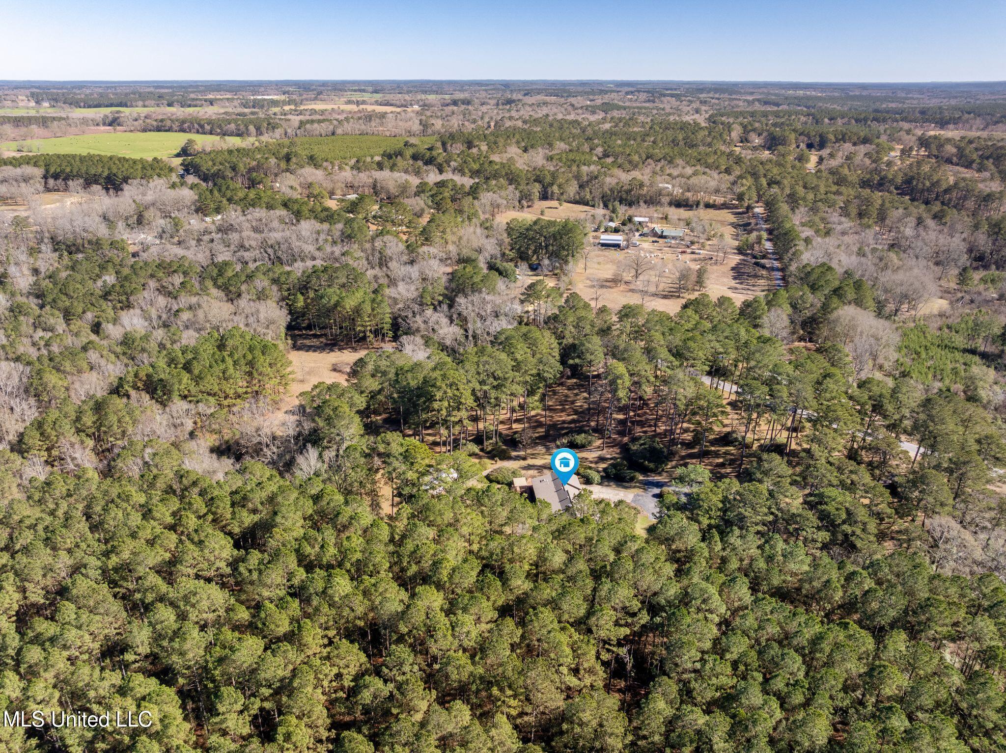 307 Salem School Road Collins, MS 39428 - Photo 59 of 61 307_Salem_School_Rd-60