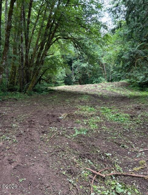 82467 Crowder Road Seaside, OR 97138 - Photo 14 of 18