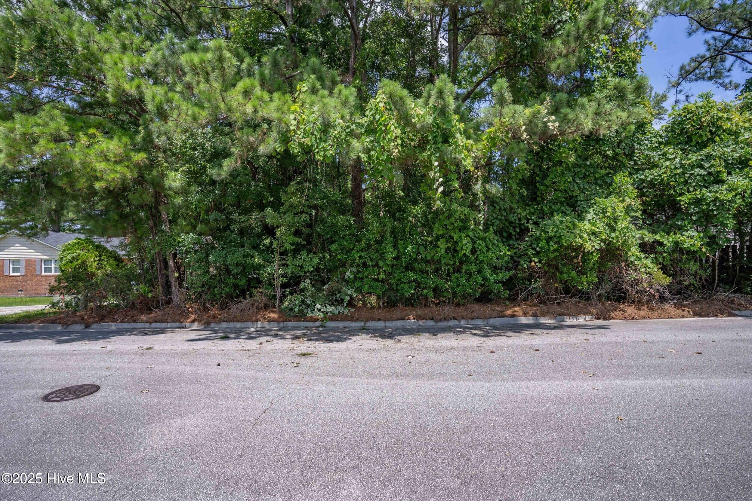 413 Rolling Road Wilmington, NC 28405 - Photo 5 of 17 413rollingrd00002