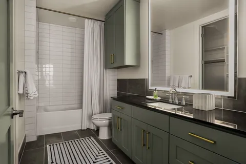 a bathroom with a double vanity sink toilet and shower