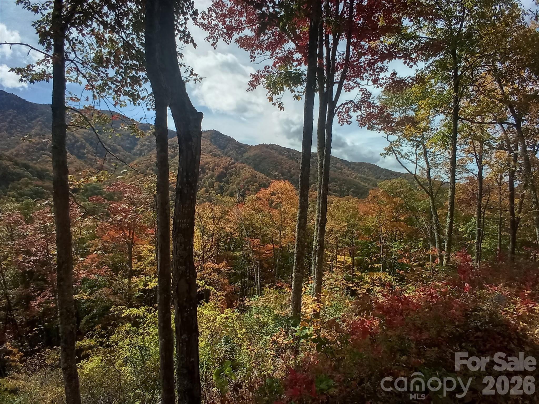 241 Bloom Trail Cherokee, NC 28719 - Photo 11 of 23