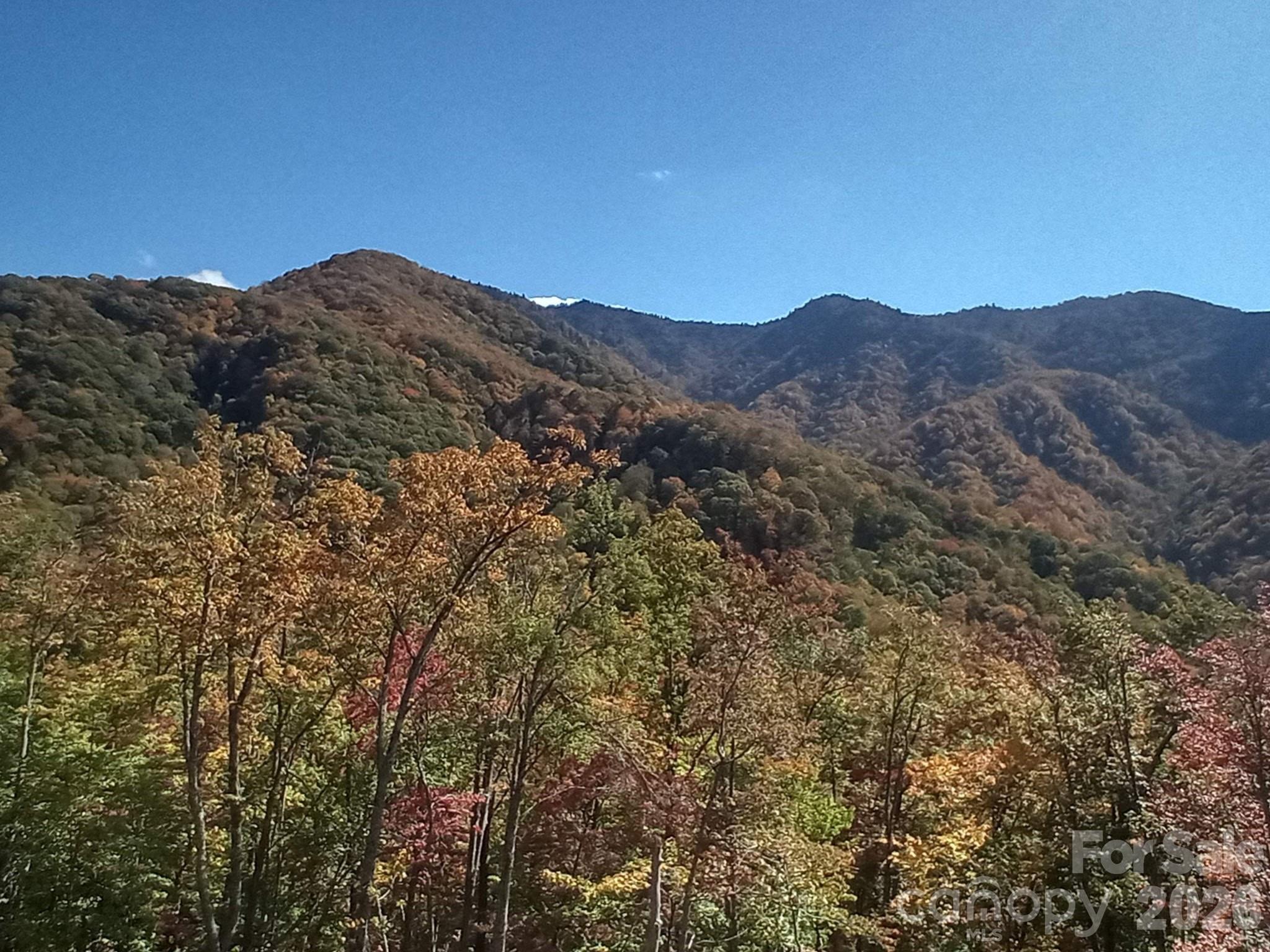 241 Bloom Trail Cherokee, NC 28719 - Photo 12 of 23